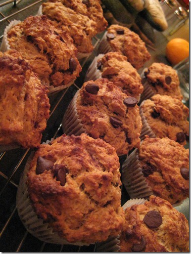 peanut-butter-chocolate-chip-muffins